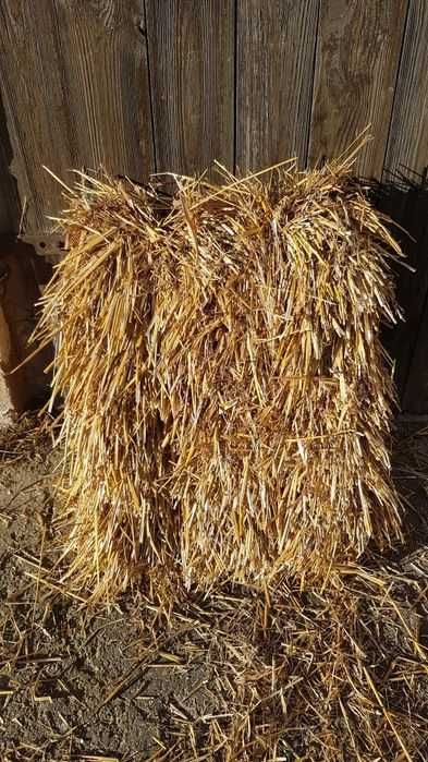 Kostki słomy - owsianka