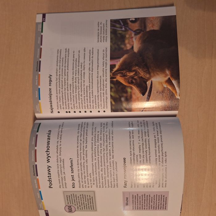 Heidi Rogner Kundelki