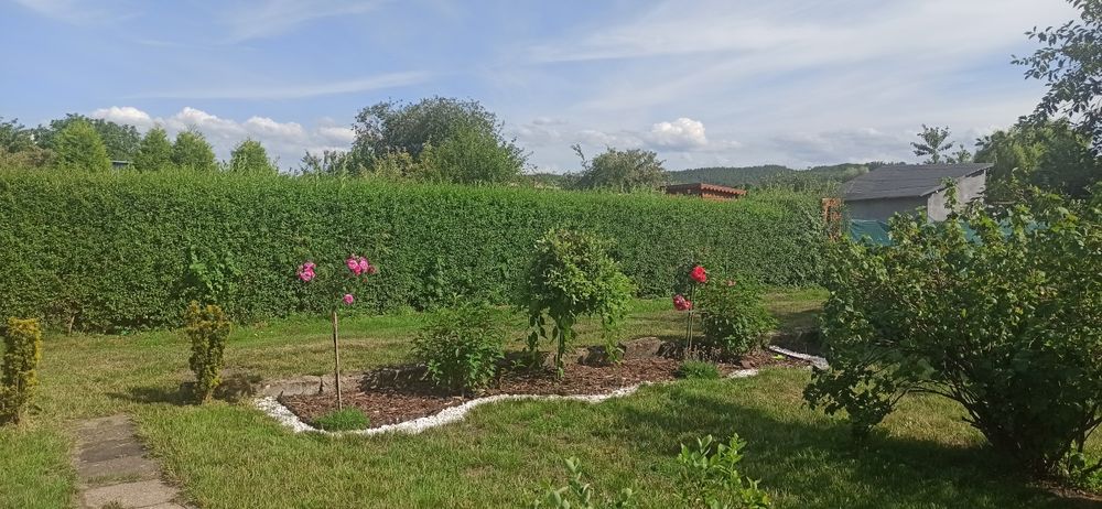 Działka ROD ~ 500m2