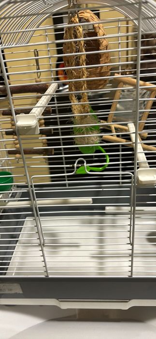 Gaiola NOVA para aves