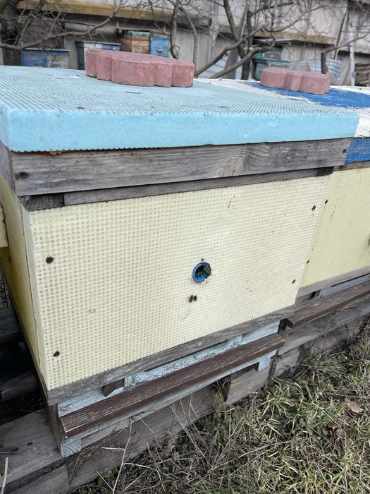 Вулик якісний і теплий