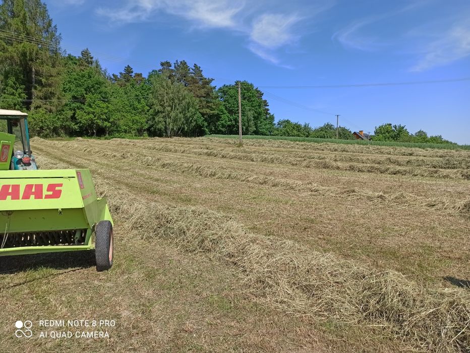 Siano słoma kostka 2026