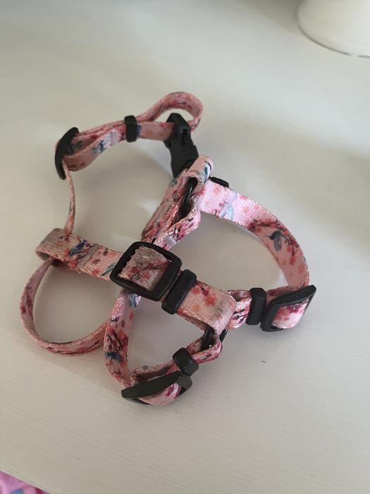 Szelki i smycz Baylabeer