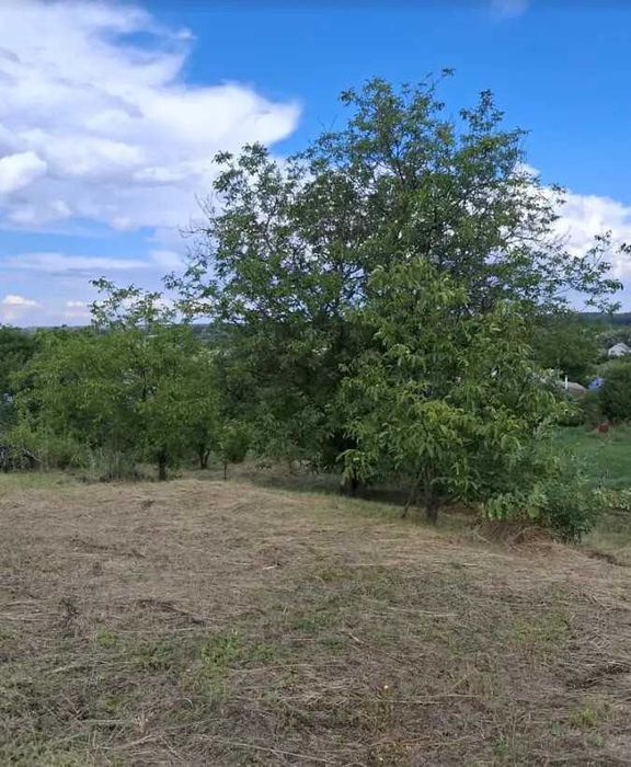 Продається ділянка у мальовничому місці під садівництво