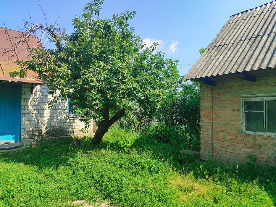 Продам будинок в селі Безпечна