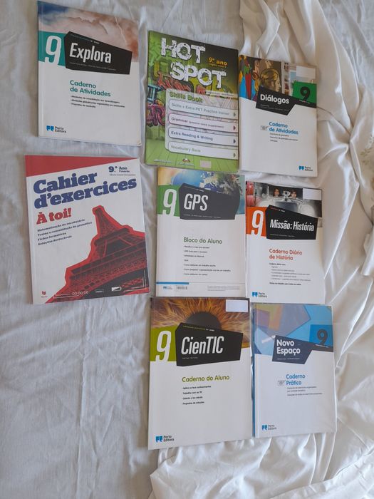 Livros e cadernos de atividades de várias disciplinas, 6, 7, 8,e 9 ano