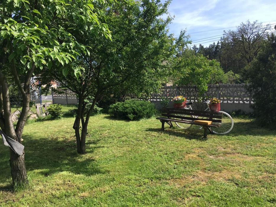 TANIO Pokoje do wynajęcia dla pracowników / nocleg / hostel Szprotawa