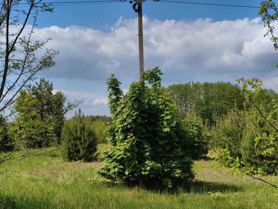 Sprzedam Działkę Rolno-Budowlaną w miejscowości Kamienowola powiat Lubartowski