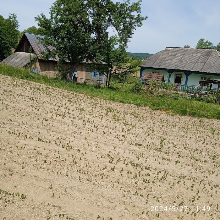 Продаю дачу в селі Верхні станівці
