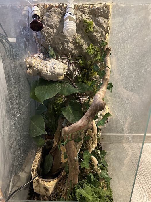 Terrarium z wodospadem dł:60 szer:40 wys:90(kameleon,gekon)