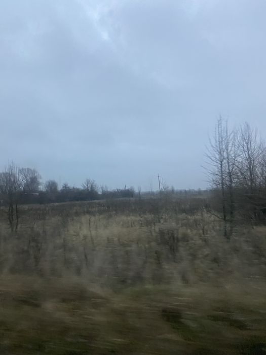 Продам будинок і земельні ділянки, в селі Новики