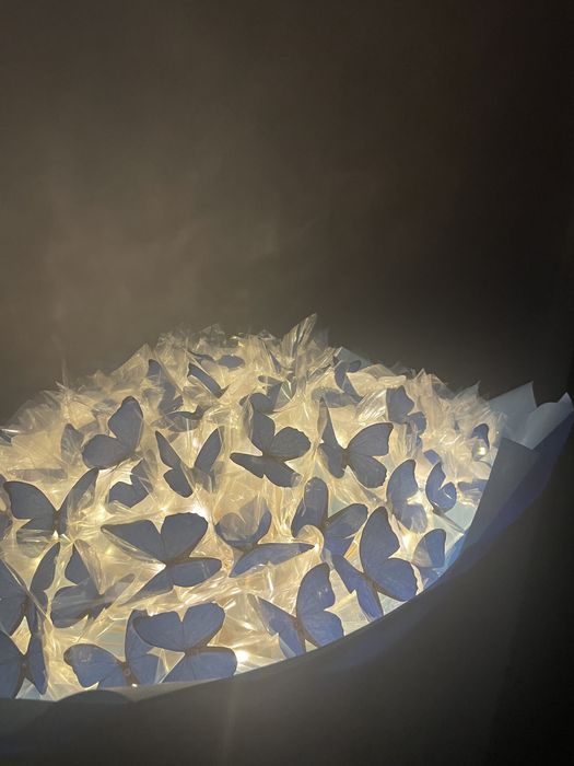 Букет з метеликів