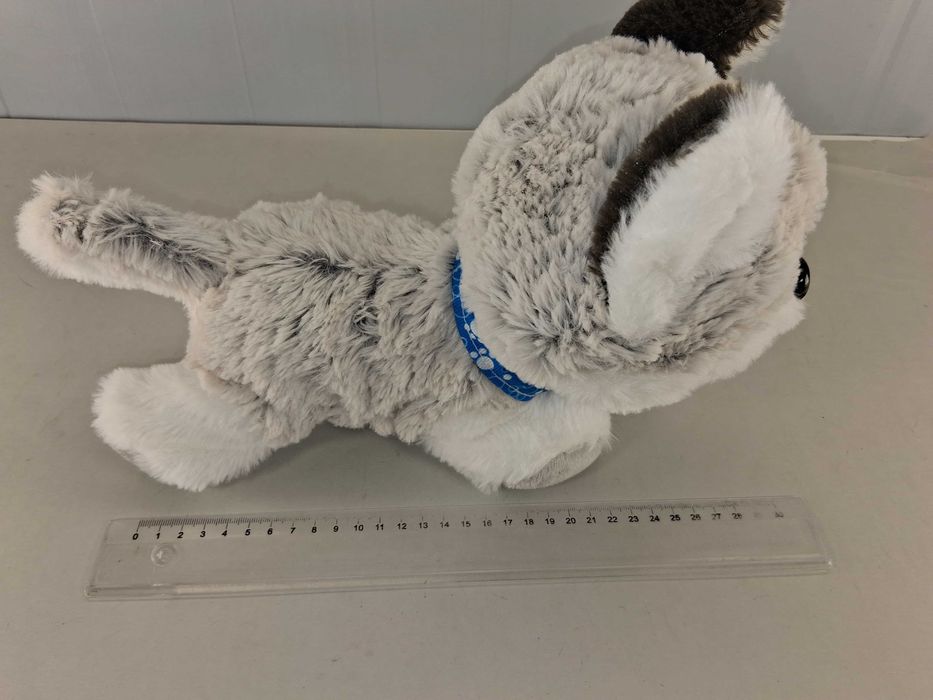 R172 Chi Chi Love Happy Husky Interaktywny Piesek Dźwięki