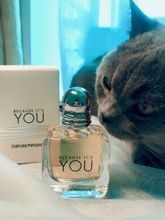 Armani BECAUSE IT'S YOU perfume 100ml