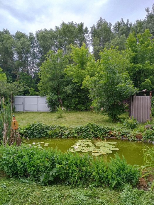 Будинок в Мурафі