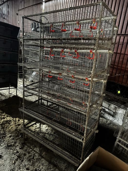 Продам клетки для перепелов