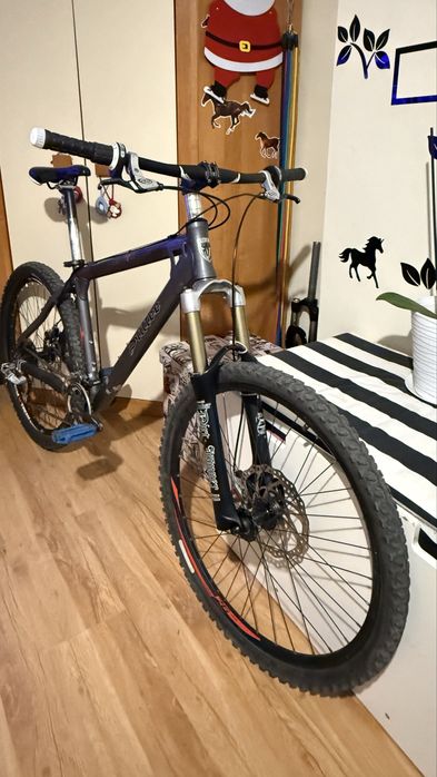 Rower Red Bull Stiffe