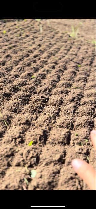 Glebogryzarka separacyjna kosiarka bijakowa minikoparka roboty ziemne