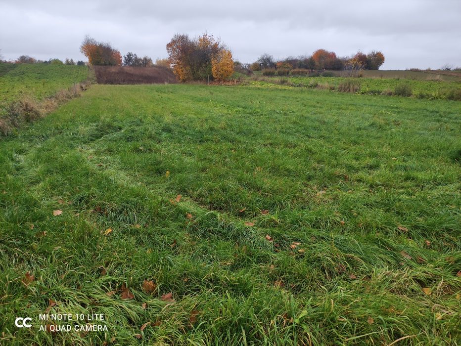 Działka Sadurki / Nałęczów