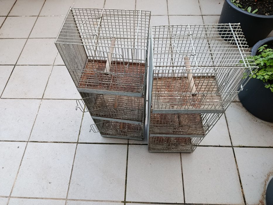 Gaiola para canário pintassilgo ou outras aves