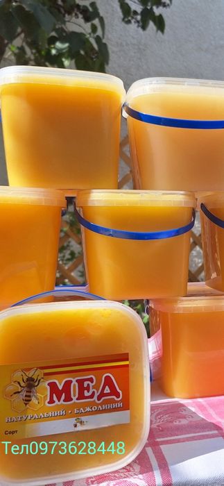 Продам Мед. Рінзнотрав'я  Сонях , Золотарник , Липа , ароматний