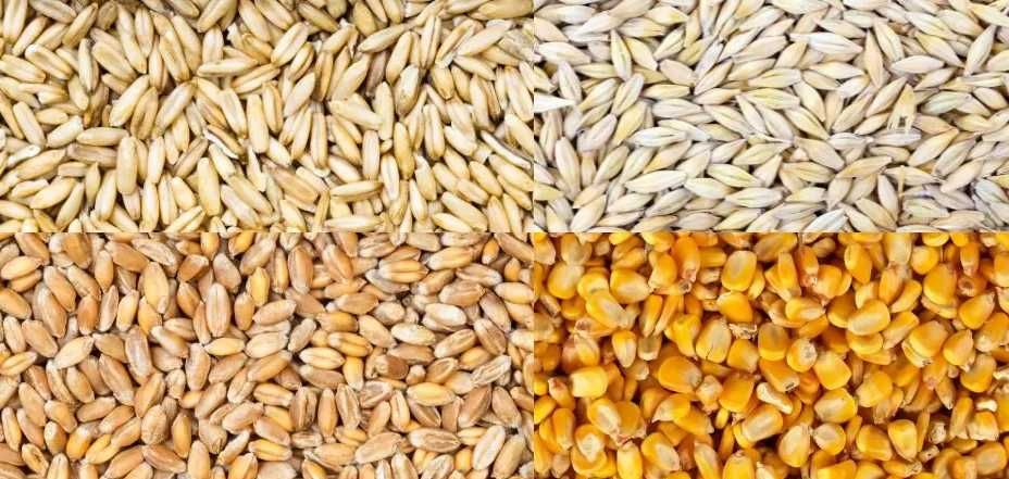 Karma Pasza Naturalna bez Chemii dla kur niosek, kaczek gęsi 20kg