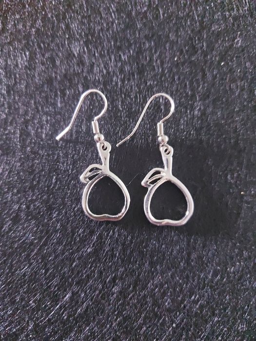 Brincos em aço | NOVO