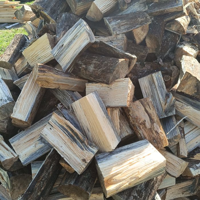 Brzoza sosna opałowa opał kominkowe