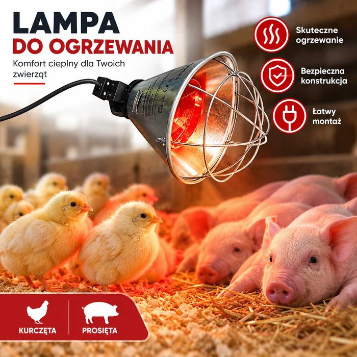 Lampa grzewcza sztuczna kwoka + promiennik ZESTAW