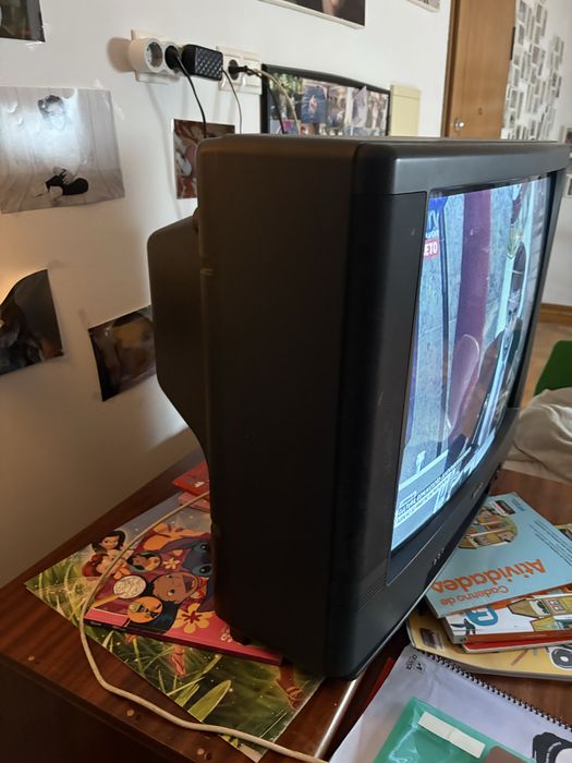 Televisao 54 cm sanyo