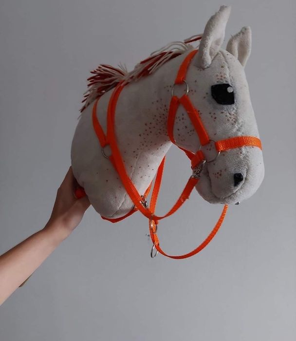 Zestaw hobby horse
