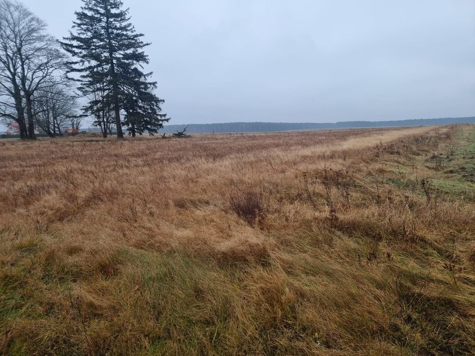 Wydzierżawię grunt rolny