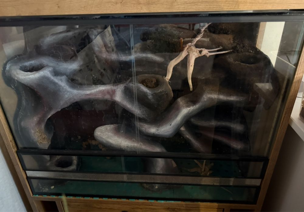 Terrarium dla węża 76x57x35