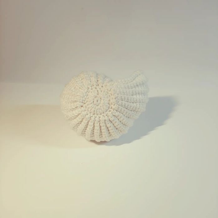 Conchas para pot-pourri431197488332165122