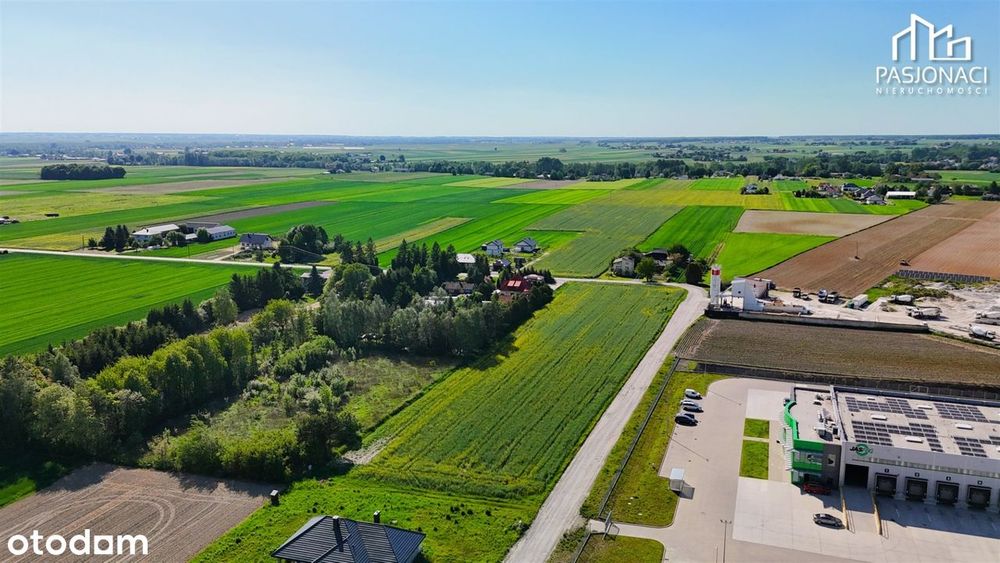 Działki budowlane 7 km od Zalewu Zemborzyckiego!