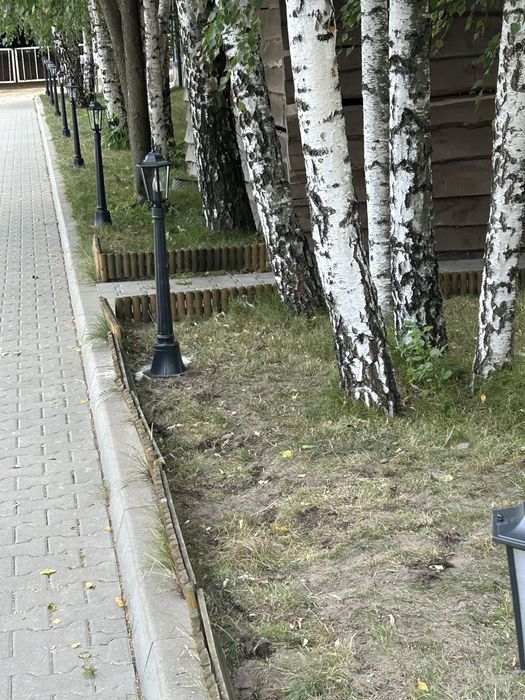 Elektryka wolne terminy na sierpien