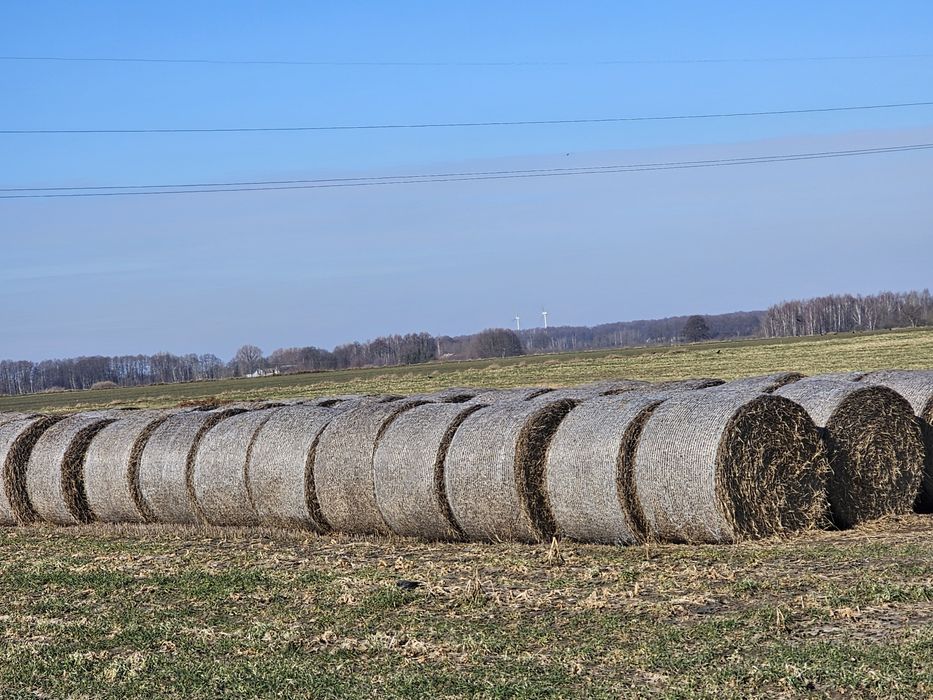 Sprzedam słome kulki 150