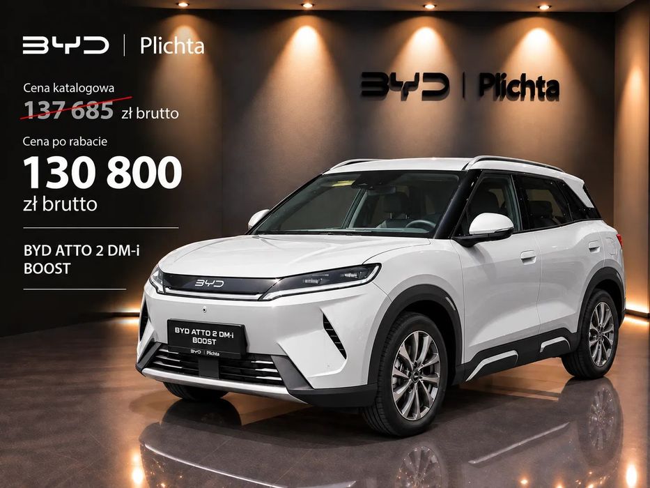 BYD Pozostałe BYD