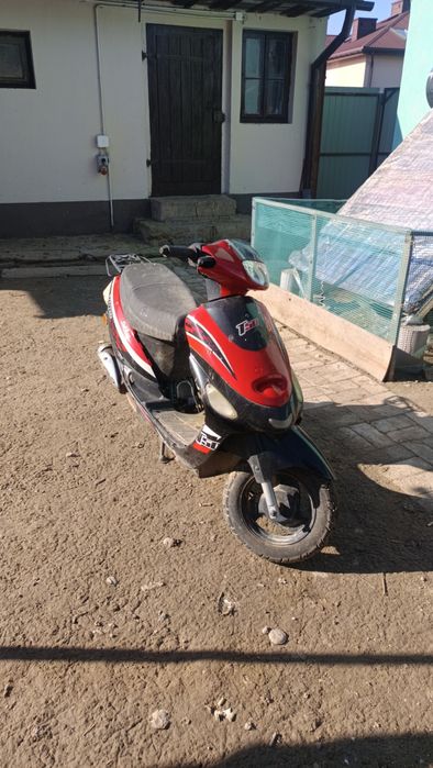 ZIP Tops 50 Czytać Opis