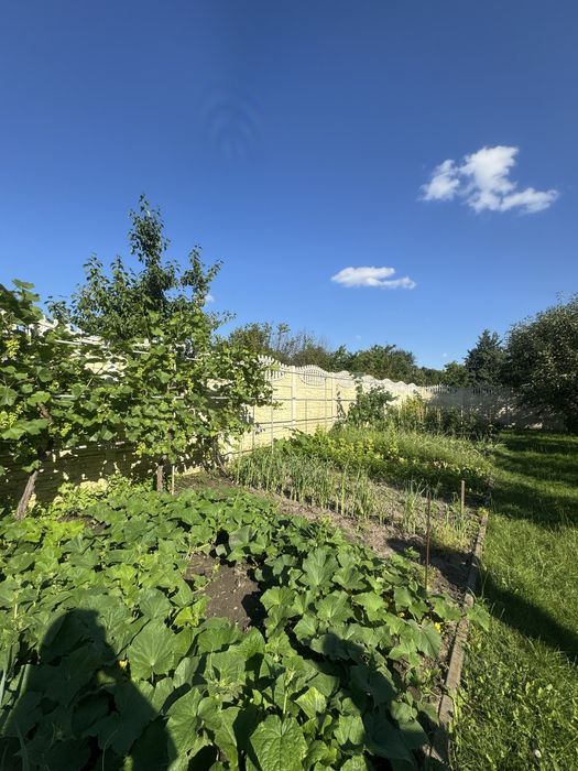 Продаж затишного будинку в м.Луцьк