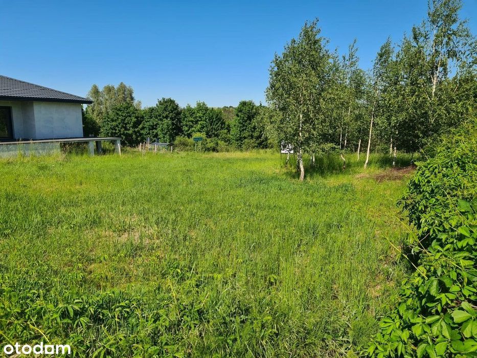Boszkowo | 652 mkw | na wzgórzu - Widok 2