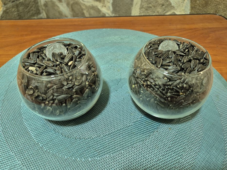 Соняшник  насіння