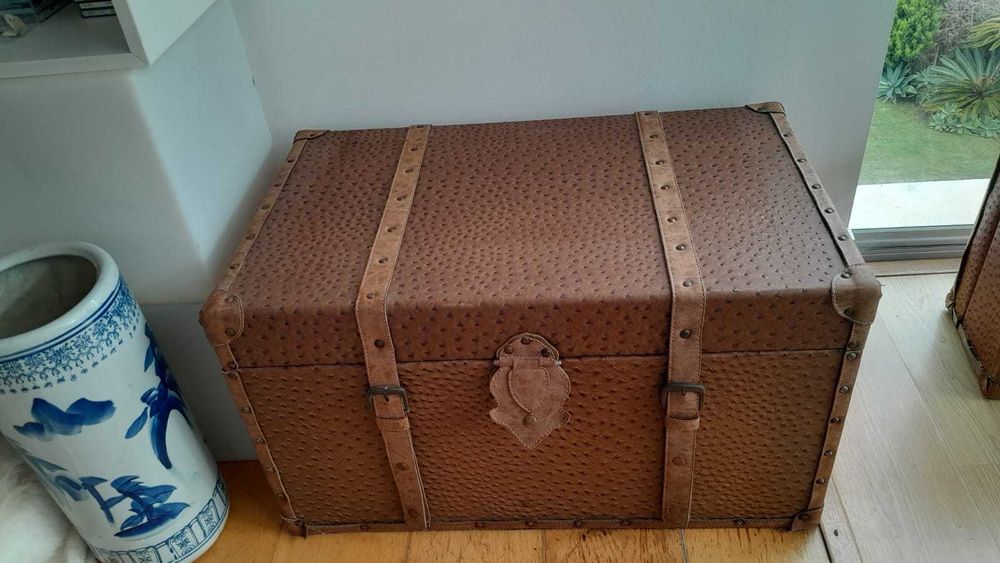 Bau de viagem castanho