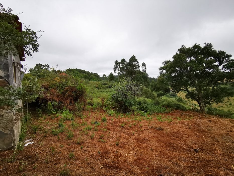 Moradia para Reconstrução em Terreno 782 m² | Colmeias - Memória (Leiria) | 35.000 €