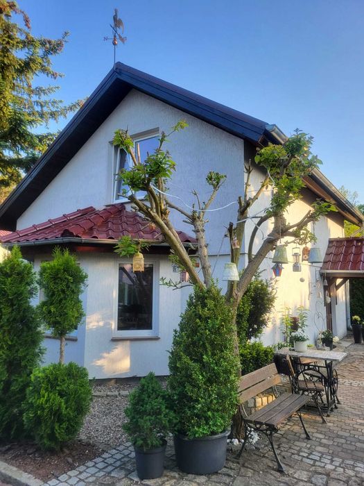 Wynajmę domek całoroczny; Noclegi - Bobowicko, Międzyrzecz, lubuski