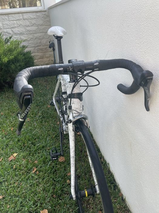 Focus cayo (tamanho S)