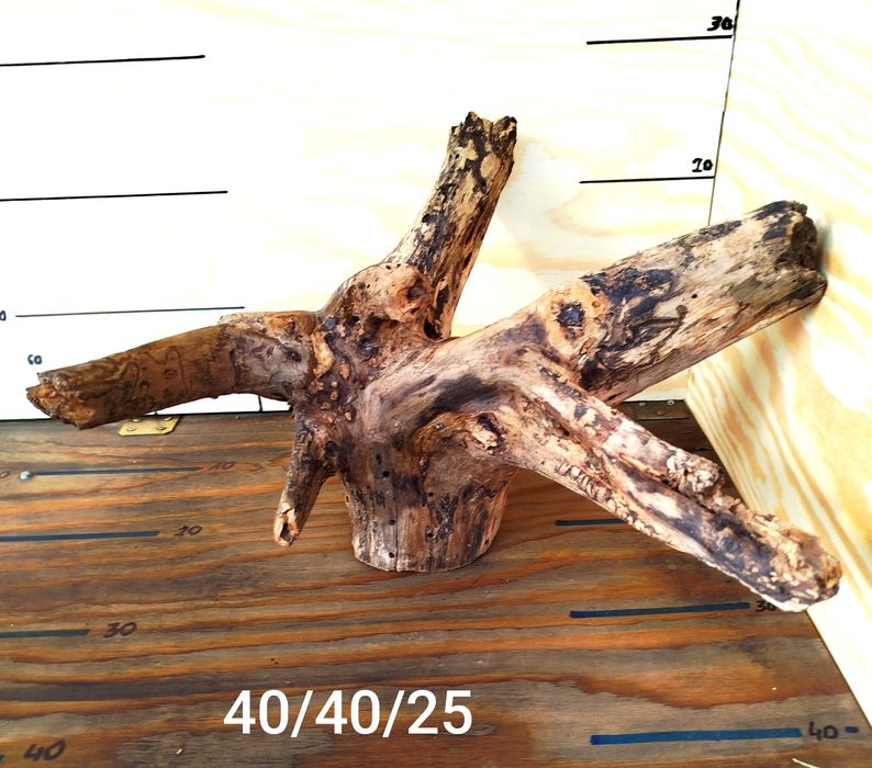 Korzeń do terrarium/akwarium. Suchy. Wstępnie oczyszczony