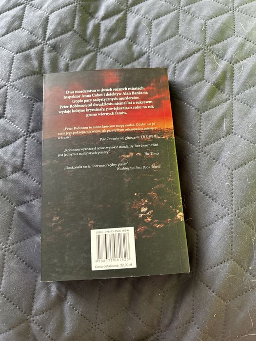 Przyjaciółka diabła / Peter Robinson