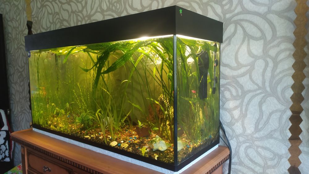 Аквариум 200литров.