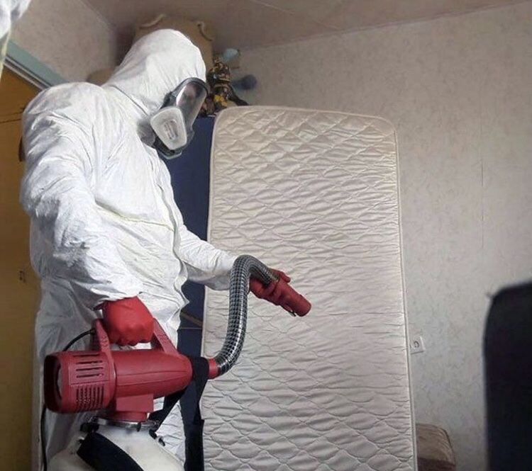 Обробка від комах плісняви небажаних запахів Швидко та надійно